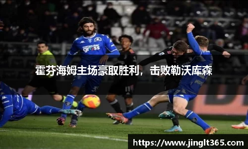 霍芬海姆主场豪取胜利，击败勒沃库森